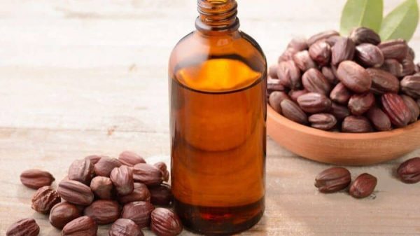 7 - minyak jojoba sebagai bahan baku pembuatan minyak rambut alami