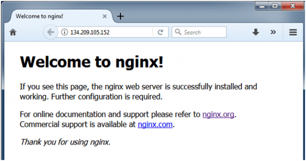 gambar 9 - install nginx berhasil